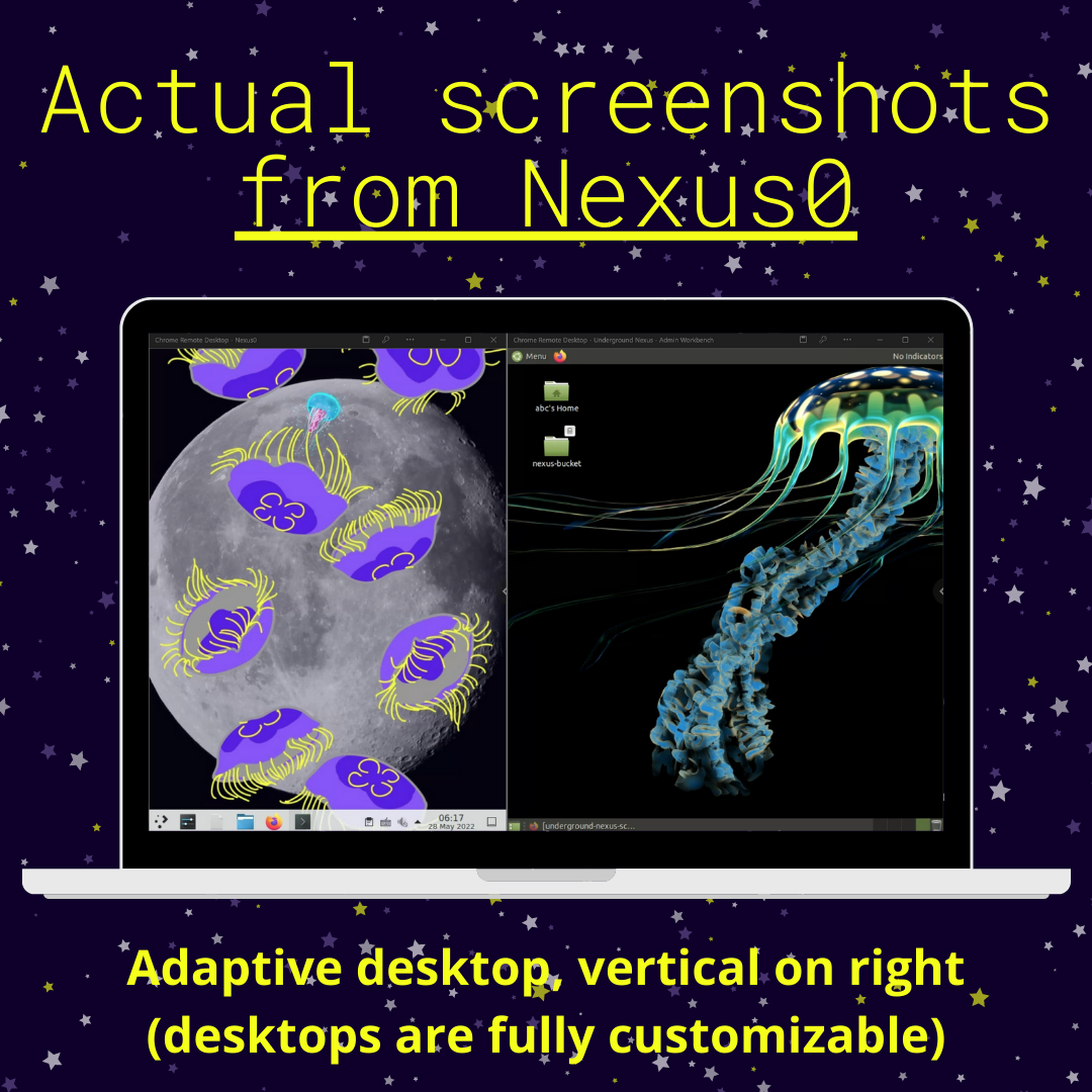 Nexus0 Annual Plan